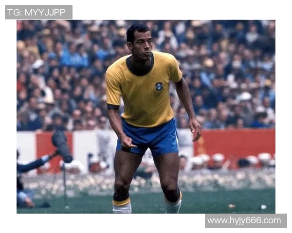 巴西足球传奇明星的辉煌历程与影响力探讨